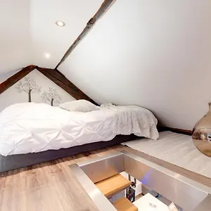 Appartement Le Duplex Atypique Et Superbe, Annecy
